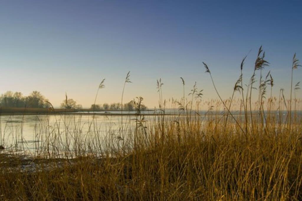 Bodensee Apartments, Sauna, Lake Walks, Free Parking, Self Checkin, Nature Reserve, Restaurants Nearby Gaissau  エクステリア 写真