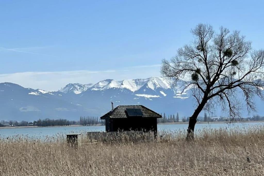 Bodensee Apartments, Sauna, Lake Walks, Free Parking, Self Checkin, Nature Reserve, Restaurants Nearby Gaissau  エクステリア 写真