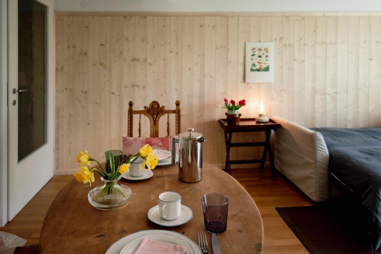 Bodensee Apartments, Sauna, Lake Walks, Free Parking, Self Checkin, Nature Reserve, Restaurants Nearby Gaissau  エクステリア 写真